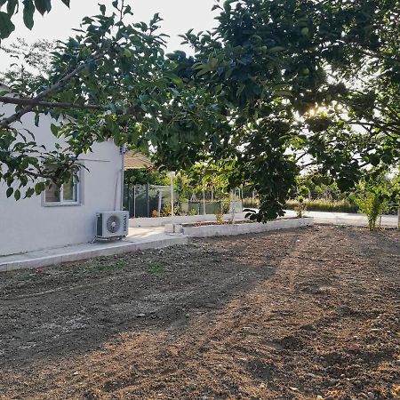 Alibaba Villa Near Airport And Beach Dalaman Bagian luar foto