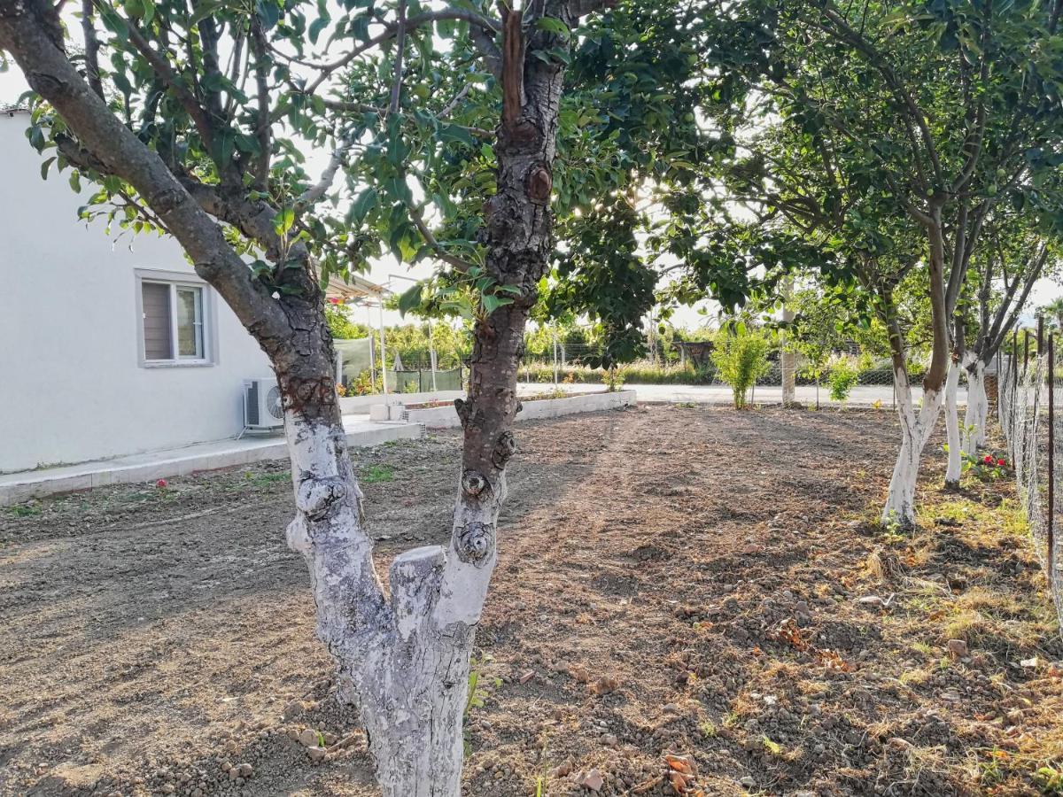Alibaba Villa Near Airport And Beach Dalaman Bagian luar foto