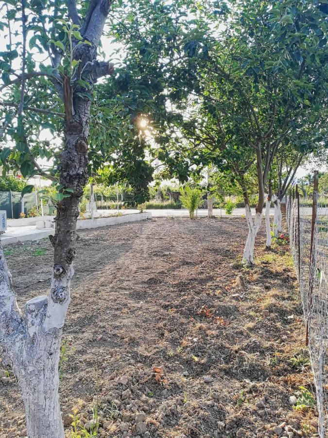 Alibaba Villa Near Airport And Beach Dalaman Bagian luar foto